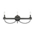 Elk Williamson VANITY LIGHT in Black Finish Model: 75075/3