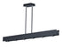 ET2 Beam LED Linear Pendant Model: E24636-BKPC