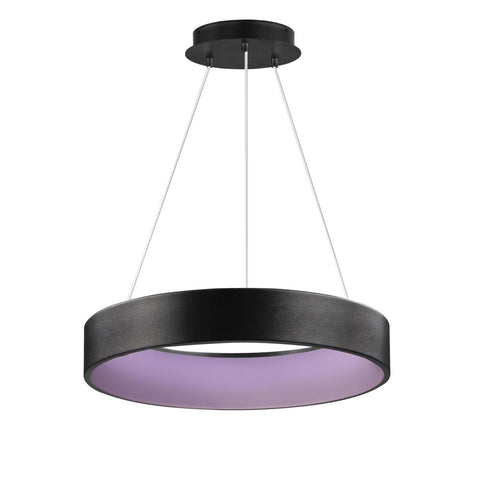 ET2 Iq Wiz Smart Light Model: E31258-BBK