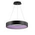 ET2 Iq Wiz Smart Light Model: E31258-BBK