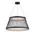 ET2 Loom Single Pendant in Black Finish Model: E20983-BK