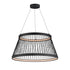 ET2 Loom Single Pendant in Black Finish Model: E20983-BK