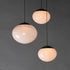 ET2 Nimbus Multi Light Pendant in Black Finish Model: E11523-113BK