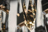 ET2 Quartz Multi Light Pendant in Polished Chrome Finish Model: E31247-20PC