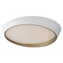 ET2 Slant Flush Mount in White/Gold Finish Model: E51034-WTGLD