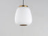 ET2 Soji Single Pendant Model: E25063-92BKGLD
