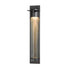 Hubbardton Forge Airis Large Dark Sky Friendly Outdoor Sconce in Coastal Dark Smoke Finish Model: 307930-SKT-77-II0241