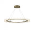 Hubbardton Forge Anemone Circular LED Pendant in Bronze Finish Model: 139772-LED-STND-05