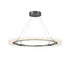Hubbardton Forge Anemone Circular LED Pendant in Bronze Finish Model: 139772-LED-STND-05