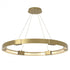 Hubbardton Forge Aura Large LED Pendant Model: 138589-SKT-STND-05-ZM0394