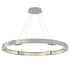 Hubbardton Forge Aura Large LED Pendant Model: 138589-SKT-STND-05-ZM0394