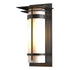 Hubbardton Forge Banded with Top Plate Large Outdoor Sconce in Coastal Oil Rubbed Bronze Finish Model: 305994-SKT-14-GG0037