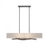 Hubbardton Forge Brindille Pendant Model: 137660-SKT-STND-20-SJ4298