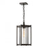Hubbardton Forge Cela Large Outdoor Lantern in Coastal Oil Rubbed Bronze Finish Model: 362023-SKT-14-GG0731