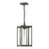 Hubbardton Forge Cela Large Outdoor Lantern in Coastal Oil Rubbed Bronze Finish Model: 362023-SKT-14-GG0731