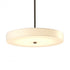 Hubbardton Forge Disq Large LED Pendant Model: 139713-LED-MULT-89-SH1970