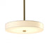 Hubbardton Forge Disq LED Pendant Model: 139710-LED-MULT-84-SH1971