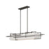 Hubbardton Forge Etch Pendant Model: 136390-SKT-STND-07-SF4298