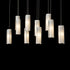 Hubbardton Forge Exos 10 Light Rectangular Pendant Model: 131204-SKT-STND-85-ZM0065