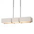 Hubbardton Forge Exos Rectangular Pendant Model: 139640-SKT-LONG-05-SF4207-SE4602