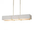 Hubbardton Forge Exos Rectangular Pendant Model: 139640-SKT-LONG-84-SF4207-SF4602
