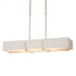 Hubbardton Forge Exos Rectangular Pendant Model: 139640-SKT-LONG-84-SF4207-SF4602