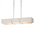 Hubbardton Forge Exos Rectangular Pendant Model: 139640-SKT-LONG-84-SF4207-SF4602