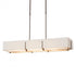 Hubbardton Forge Exos Rectangular Pendant Model: 139640-SKT-SHRT-07-SF4207-SA4602