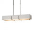 Hubbardton Forge Exos Rectangular Pendant Model: 139640-SKT-SHRT-10-SF4207-SF4602
