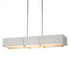 Hubbardton Forge Exos Rectangular Pendant Model: 139640-SKT-SHRT-84-SF4207-SE4602