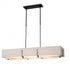 Hubbardton Forge Exos Rectangular Pendant Model: 139640-SKT-STND-14-SF4207-SJ4602