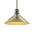 Hubbardton Forge Henry Medium Steel Shade Pendant Model: 134550-SKT-MULT-82-85