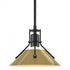 Hubbardton Forge Henry Mini Pendant in Bronze Finish Model: 184250-SKT-MULT-05-02