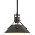 Hubbardton Forge Henry Mini Pendant in Bronze Finish Model: 184250-SKT-MULT-05-02