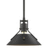 Hubbardton Forge Henry Mini Pendant in Bronze Finish Model: 184250-SKT-MULT-05-02