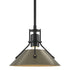 Hubbardton Forge Henry Mini Pendant in Bronze Finish Model: 184250-SKT-MULT-05-02