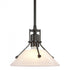 Hubbardton Forge Henry Mini Pendant in Bronze Finish Model: 184253-SKT-MULT-05-FD0673