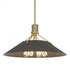Hubbardton Forge Henry Pendant Model: 136340-SKT-MULT-02-84