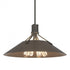 Hubbardton Forge Henry Pendant Model: 136340-SKT-MULT-02-84