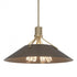 Hubbardton Forge Henry Pendant Model: 136340-SKT-MULT-86-14