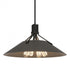 Hubbardton Forge Henry Pendant Model: 136340-SKT-MULT-86-82