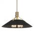 Hubbardton Forge Henry Pendant Model: 136340-SKT-MULT-86-82