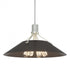 Hubbardton Forge Henry Pendant Model: 136340-SKT-MULT-86-82