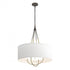 Hubbardton Forge Loop Pendant Model: 104230-SKT-07-05-SE2811