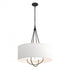 Hubbardton Forge Loop Pendant Model: 104230-SKT-10-82-SE2811