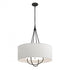 Hubbardton Forge Loop Pendant Model: 104230-SKT-10-82-SE2811