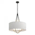 Hubbardton Forge Loop Pendant Model: 104230-SKT-10-82-SE2811