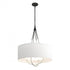 Hubbardton Forge Loop Pendant Model: 104230-SKT-10-82-SE2811