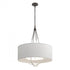 Hubbardton Forge Loop Pendant Model: 104230-SKT-14-82-SA2811