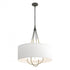 Hubbardton Forge Loop Pendant Model: 104230-SKT-20-84-SA2811